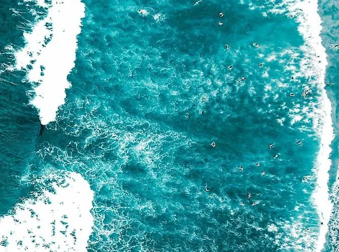 Dona Juana Λος Ρεαλέχος