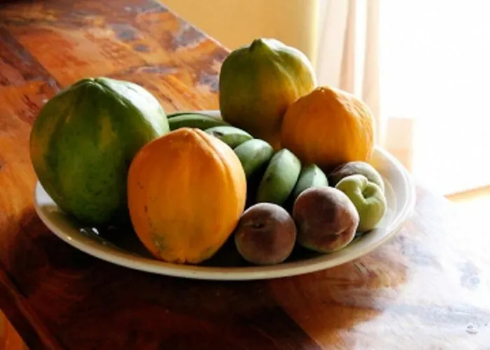 Dona Juana Σπίτι διακοπών *