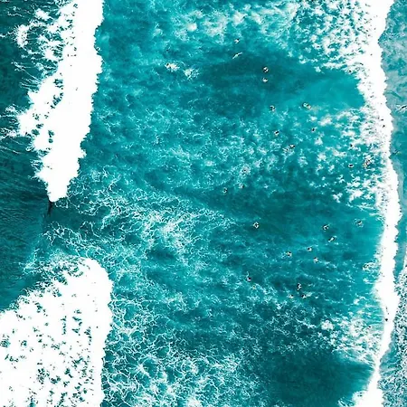 Dona Juana 로스 레알레호스