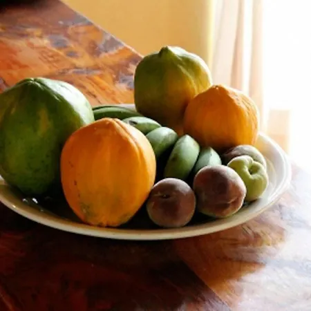 Dona Juana Σπίτι διακοπών *