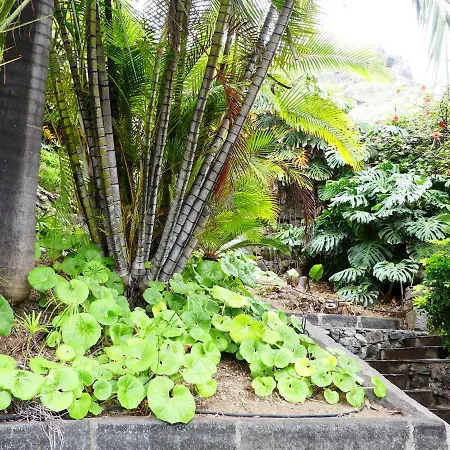 Dona Juana 로스 레알레호스