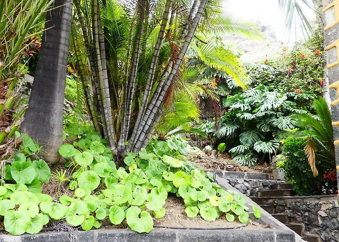 Dona Juana Los Realejos